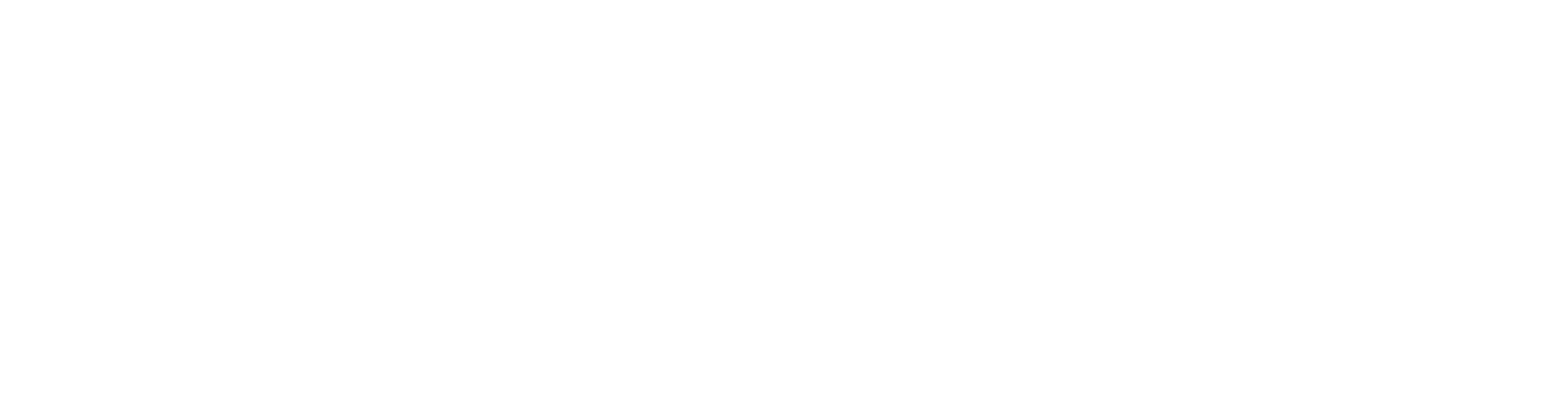 The FalconTech